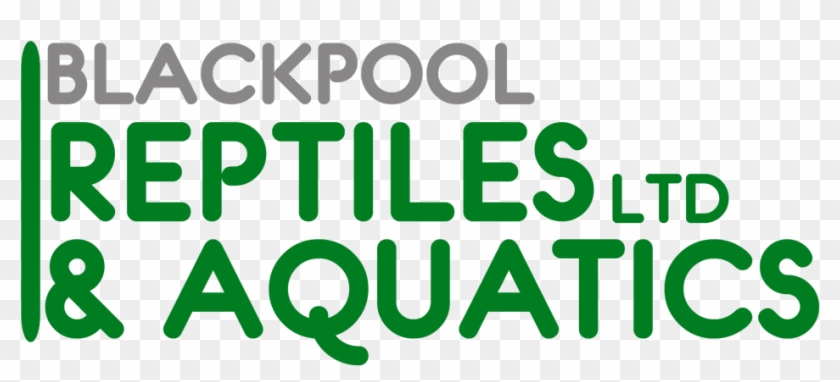 Blackpool Reptiles & Aquatics Ltd - Graphic Design, HD Png Download