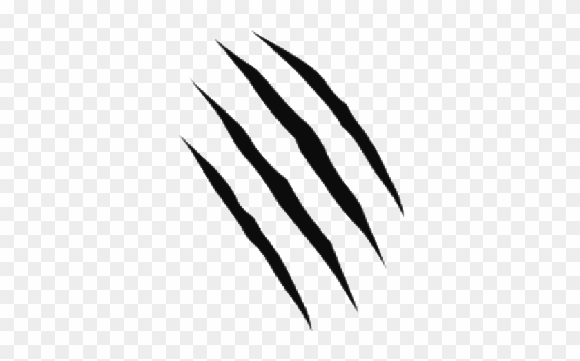 Scratches Png Free Download - Tiger Scratch No Background, Transparent Png  - 600x600(#480242) - PngFind