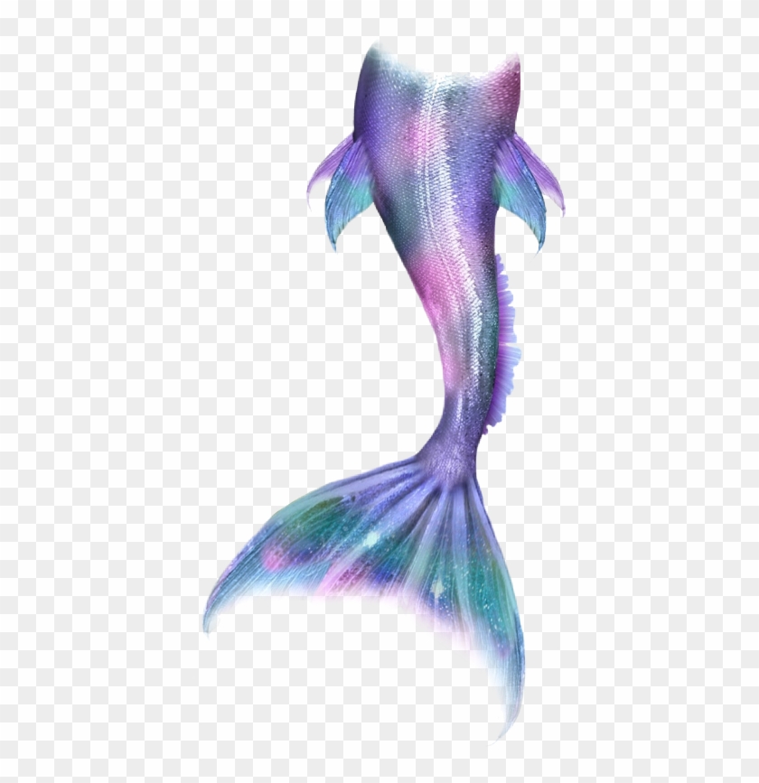 Mermaid Mermaidlife Mermaidtail Mermaids Merman Tail Glitter Transparent Mermaid Tail Hd Png Download 414x787 480268 Pngfind