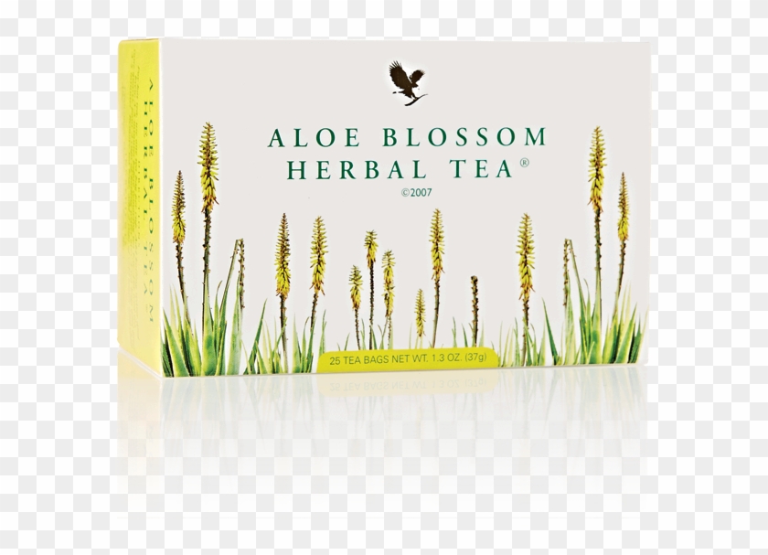 Aloe Blossom Herbal Tea - Forever Aloe Blossom Herbal Tea Png, Transparent  Png - 900x900(#483328) - PngFind