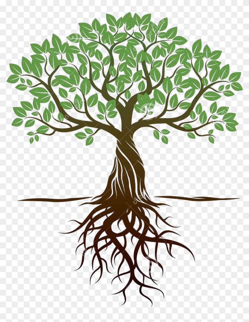 tree roots png