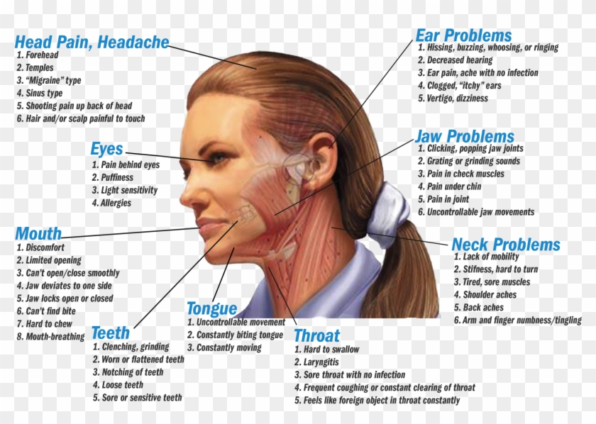 Dehydration Headache Pain Location , Png Download, Transparent - 1990x1324(#486003) - PngFind