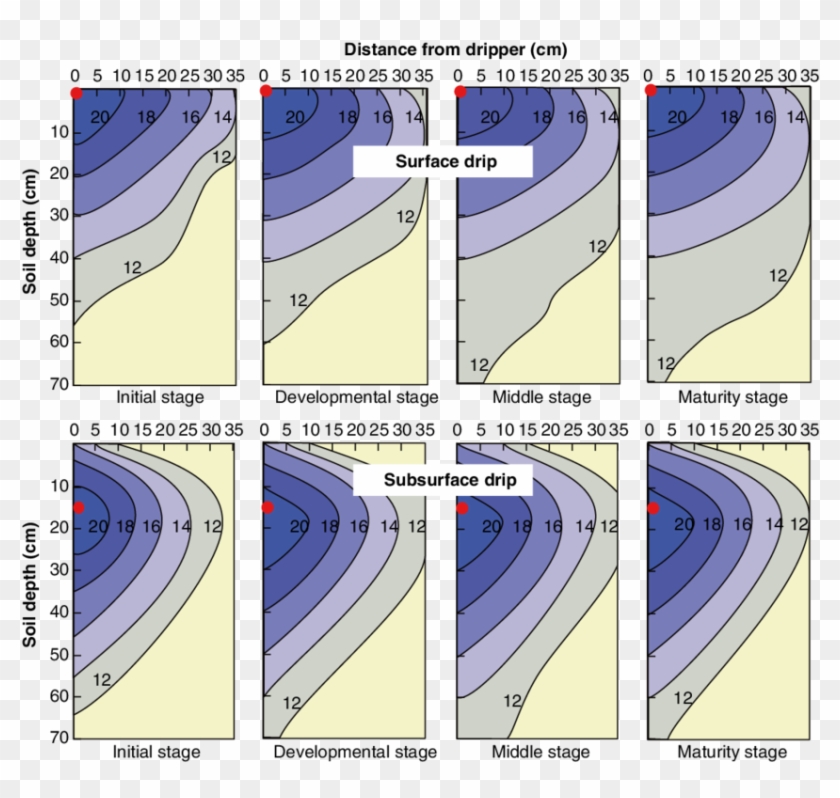 Spatial Distribution Of Water In Soil For Surface And - Drip Irrigation ...