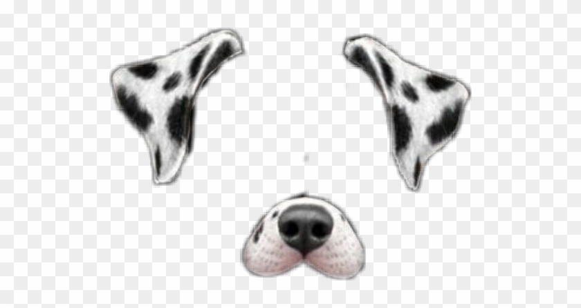 dog #dalmatian #puppy #filter #snapchat #filters - Snapchat Dog Filter Png  Dalmatian, Transparent Png - 524x366(#4843690) - PngFind