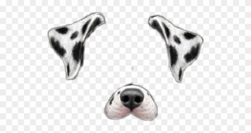 dog #dalmatian #puppy #filter #snapchat #filters - Snapchat Dog Filter Png Dalmatian, Transparent Png - 524x366(#4843690) - PngFind dog #dalmatian #puppy #filter #snapchat #filters - Snapchat Dog Filter Png Dalmatian, Transparent Png - 524x366(#4843690) - PngFind