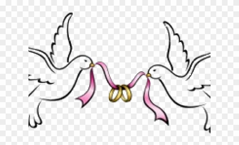 Download X Carwad Net Clipart Wedding Dove Png Transparent Png 640x480 4851021 Pngfind