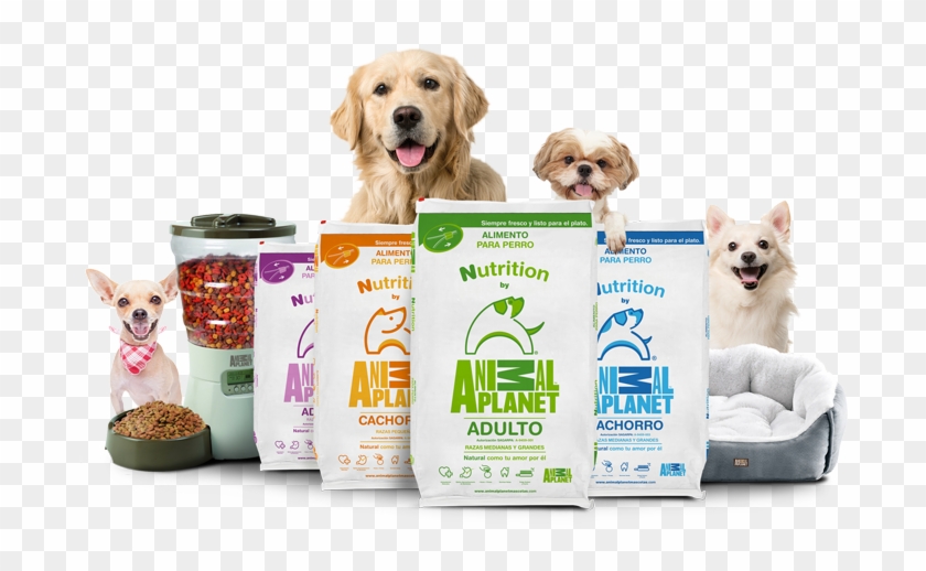 Adquiere - Animal Planet Dog Food, HD Png Download - 700x471(#4851954