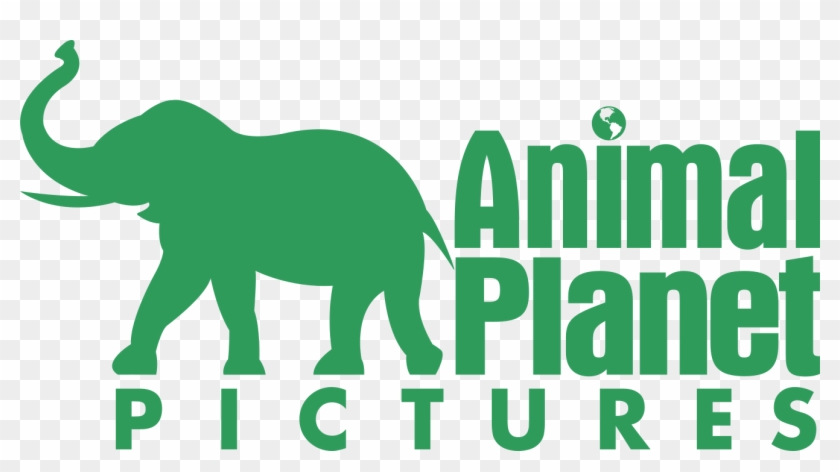 Animal Planet, Ait, Donkey, Schelle-price, Horsebro, HD Png Download -  1326x682(#4852798) - PngFind