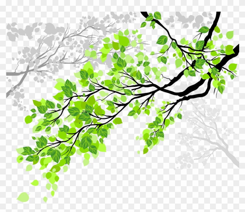 Disse Fremskridt Christchurch tree #trees #nature #leaves #branches #branch - Ramas De Arboles Png,  Transparent Png - 1024x841(#4857199) - PngFind