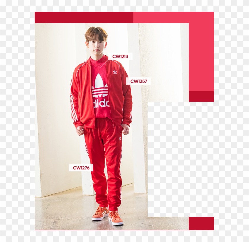 jackson wang adidas