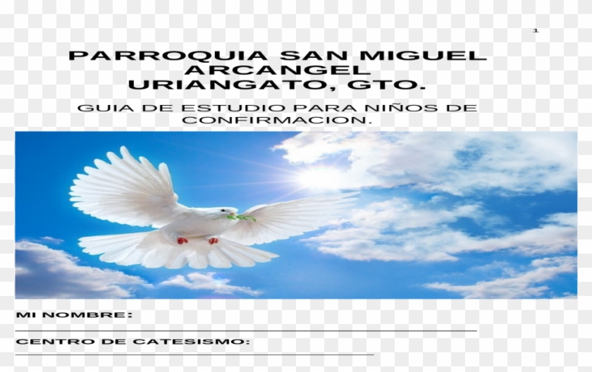 San Miguel Arcangel Png , Png Download - Master Painters Australia, Transparent Png - 932x542(#4877932) - PngFind San Miguel Arcangel Png , Png Download - Master Painters Australia, Transparent Png - 932x542(#4877932) - PngFind