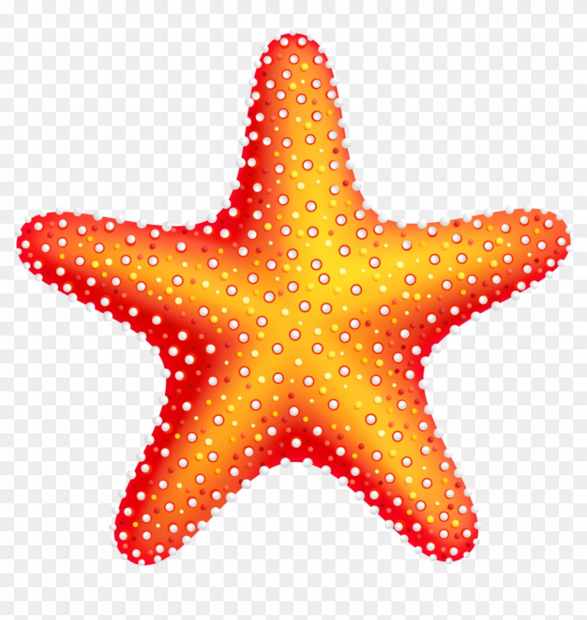 Download Free Png Starfish Png Images Transparent Starfish Png Transparent Png Download 850x819 490396 Pngfind