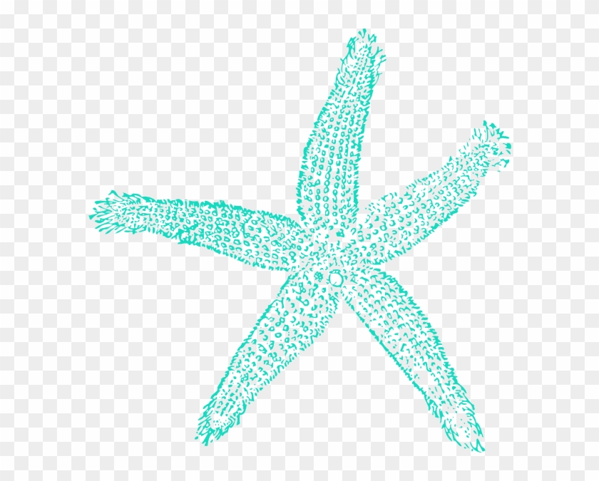 Download Download For Free Starfish Png In High Resolution Blue Starfish Clipart Transparent Png 594x595 490759 Pngfind