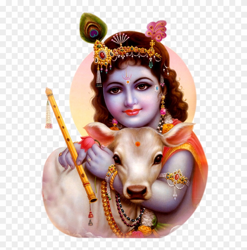 Krishna Png High Quality Image - Lord Krishna With Calf, Transparent Png -  1024x768(#491721) - PngFind
