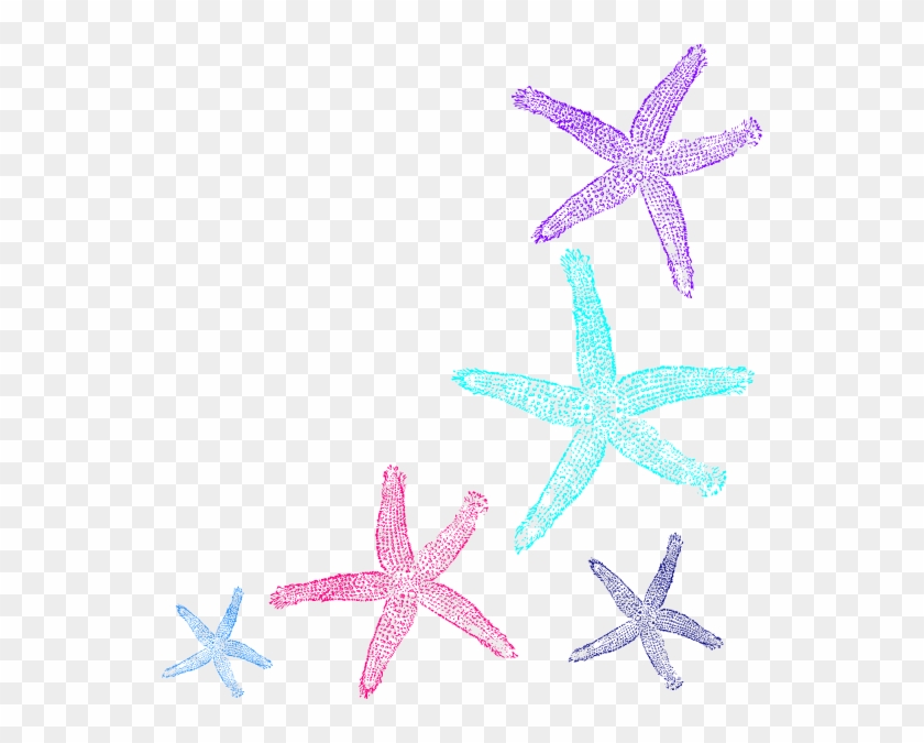 Download Original Png Clip Art File Starfish Prints Svg Images Transparent Png 546x595 491972 Pngfind