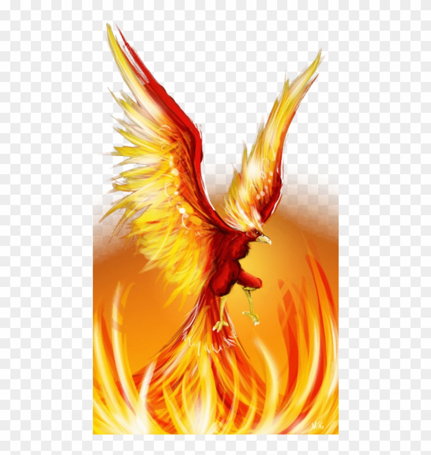 Unduh 71 Background Burung Api Paling Keren