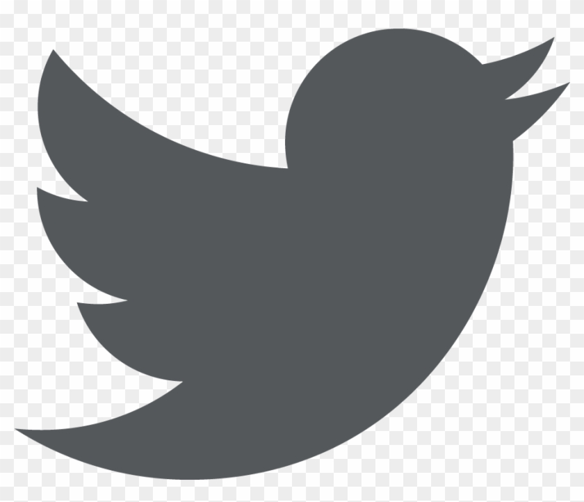 Twitter Logo White Png Tiny Twitter Logo Black Transparent Png 973x1073 Pngfind