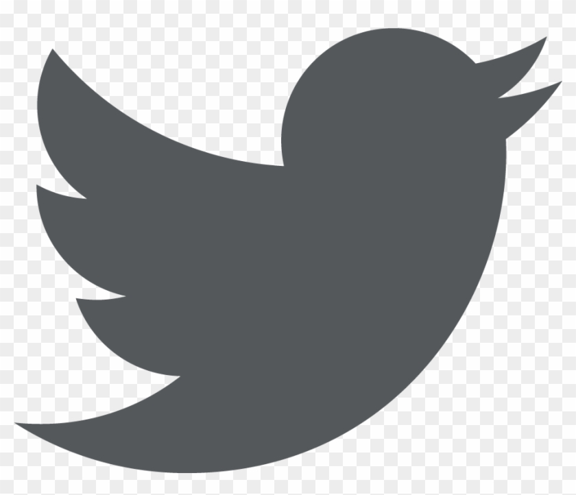 Twitter Logo White Png Tiny Twitter Logo Black Transparent Png 973x1073 Pngfind Twitter Logo White Png Tiny Twitter Logo Black Transparent Png 973x1073 Pngfind