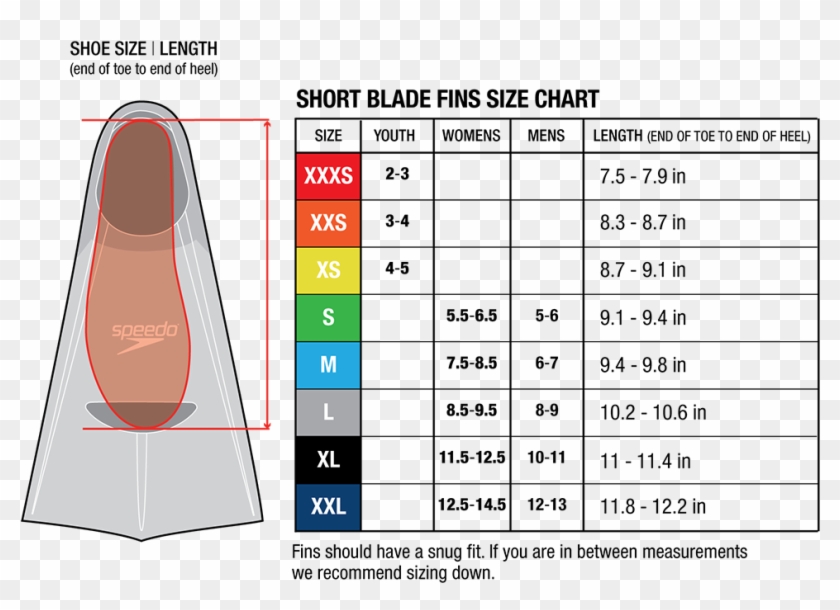 Speedo Short Blade Swim Training Fins - Speedo Fins Size Chart, HD Png  Download - 1000x917(#4901546) - PngFind