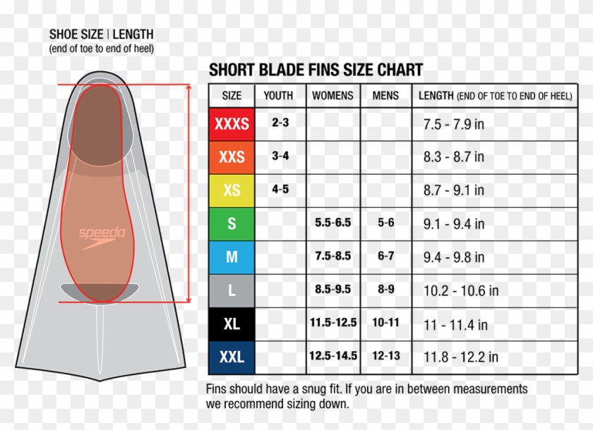 Speedo Swim Fins Size Chart