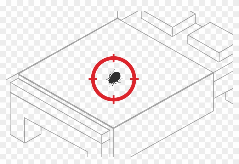 Bed Bug Exterminator With Proactive, Bed Bugs Are Eliminated, HD Png