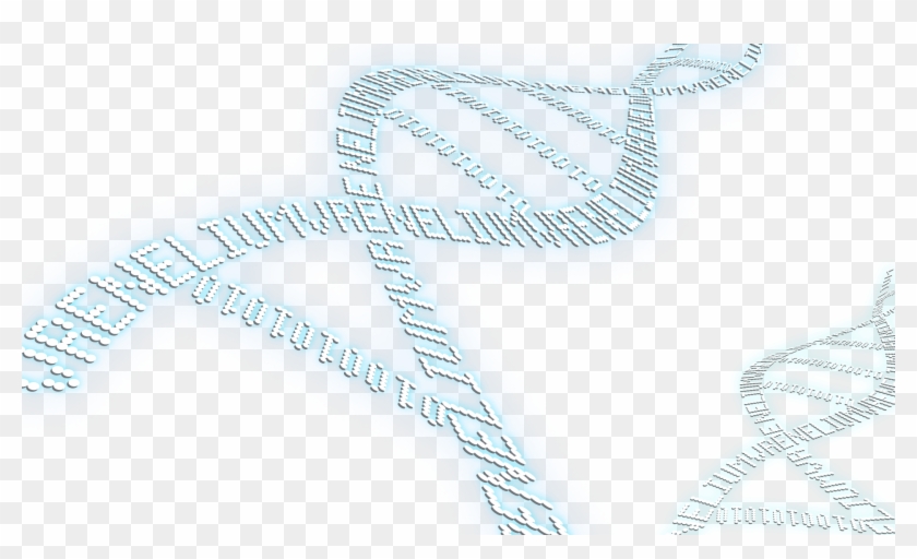 Latest Blockchain Blockchain Images With Transparent Background