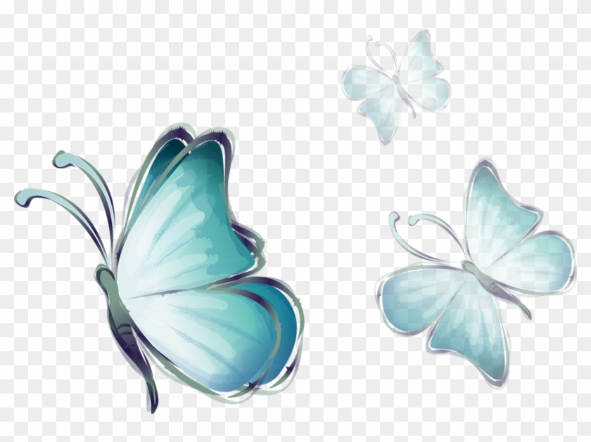 Tube Papillon Png Flowers And Butterflies Transparent Png 800x549 Pngfind