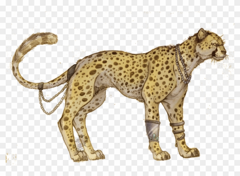 Cheetah Png - Anime Cheetahs, Transparent Png - 1024x703(#4983529) - PngFind