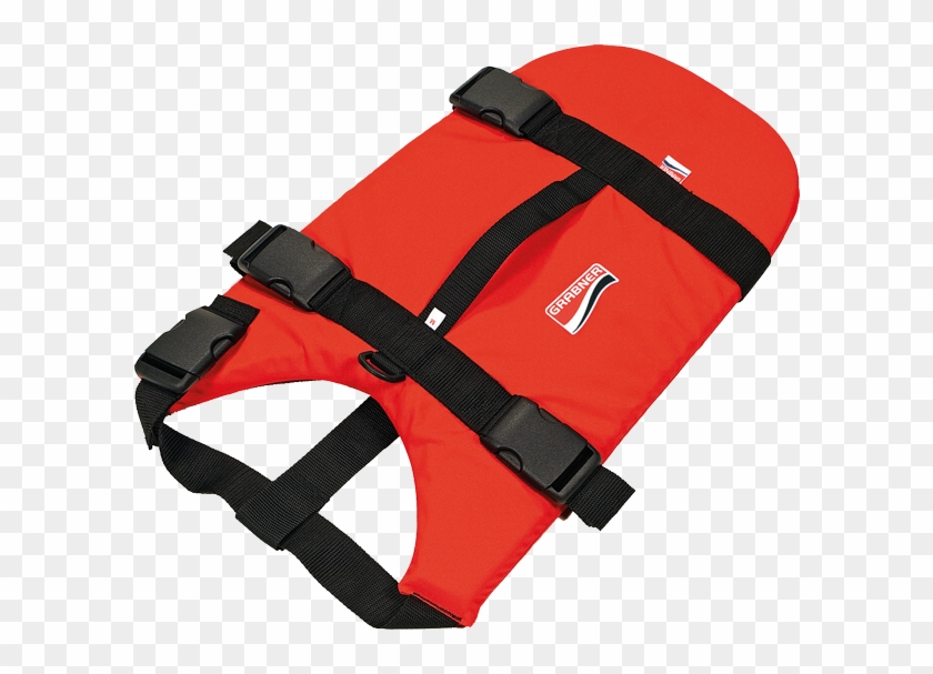 Cat Fanny Pack Hd Png Download 600x5274989260 Pngfind -