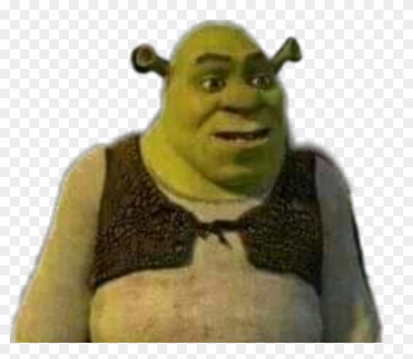 Shrek Face Swap Meme : Shrek With Mike Wazowski Face ...