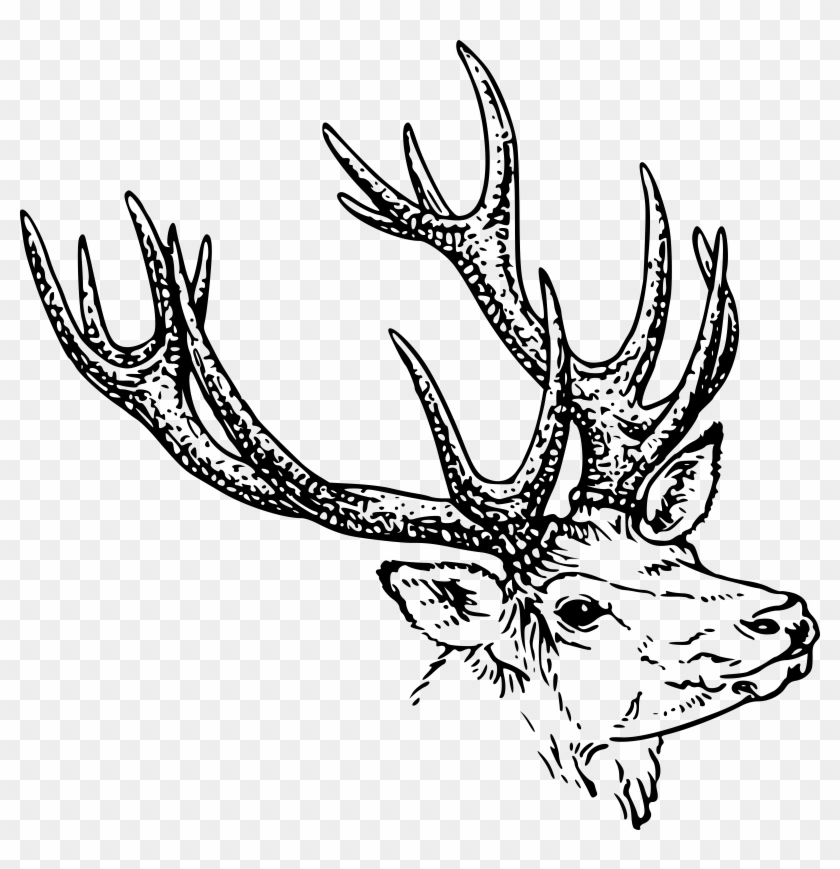 Silhouette Deer Head Clipart Black And White.