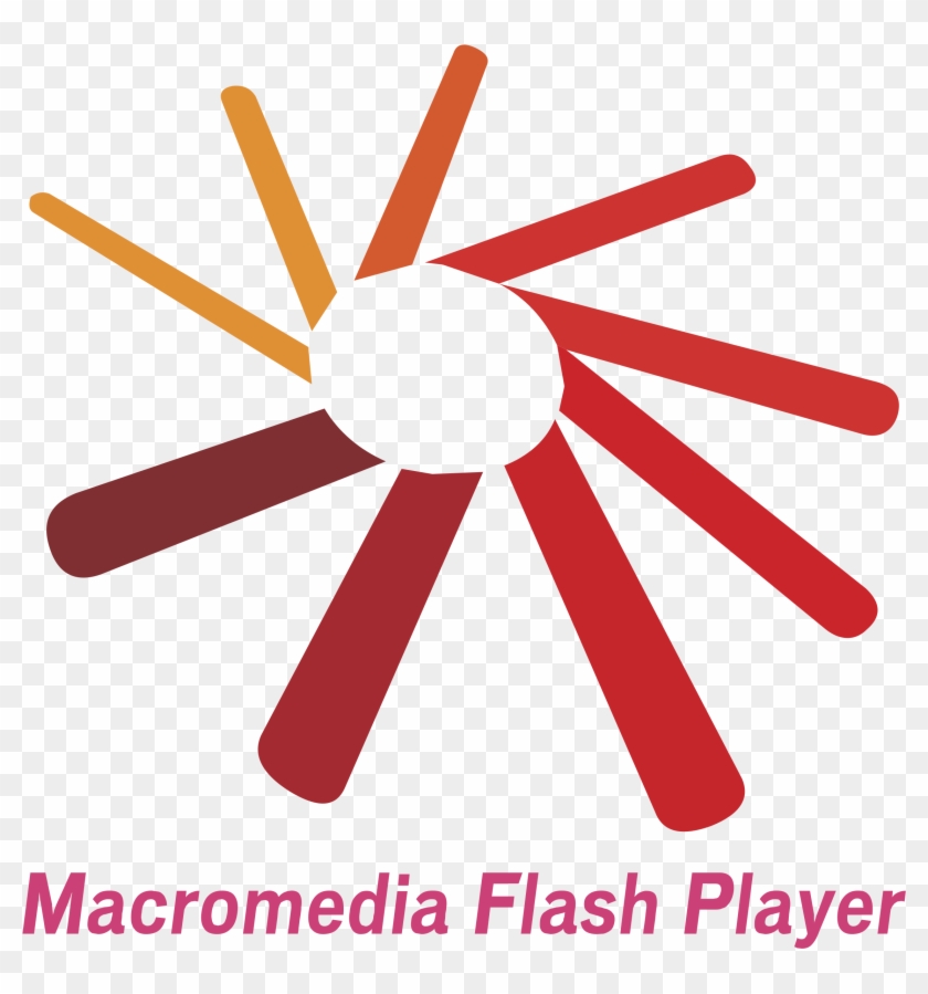Macromedia Flash Player Logo Png Transparent - Adobe Flash, Png Download -  2279x2331(#53458) - PngFind