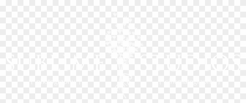 unity logo white png png download johns hopkins logo white transparent png 1720x641 55523 pngfind unity logo white png png download
