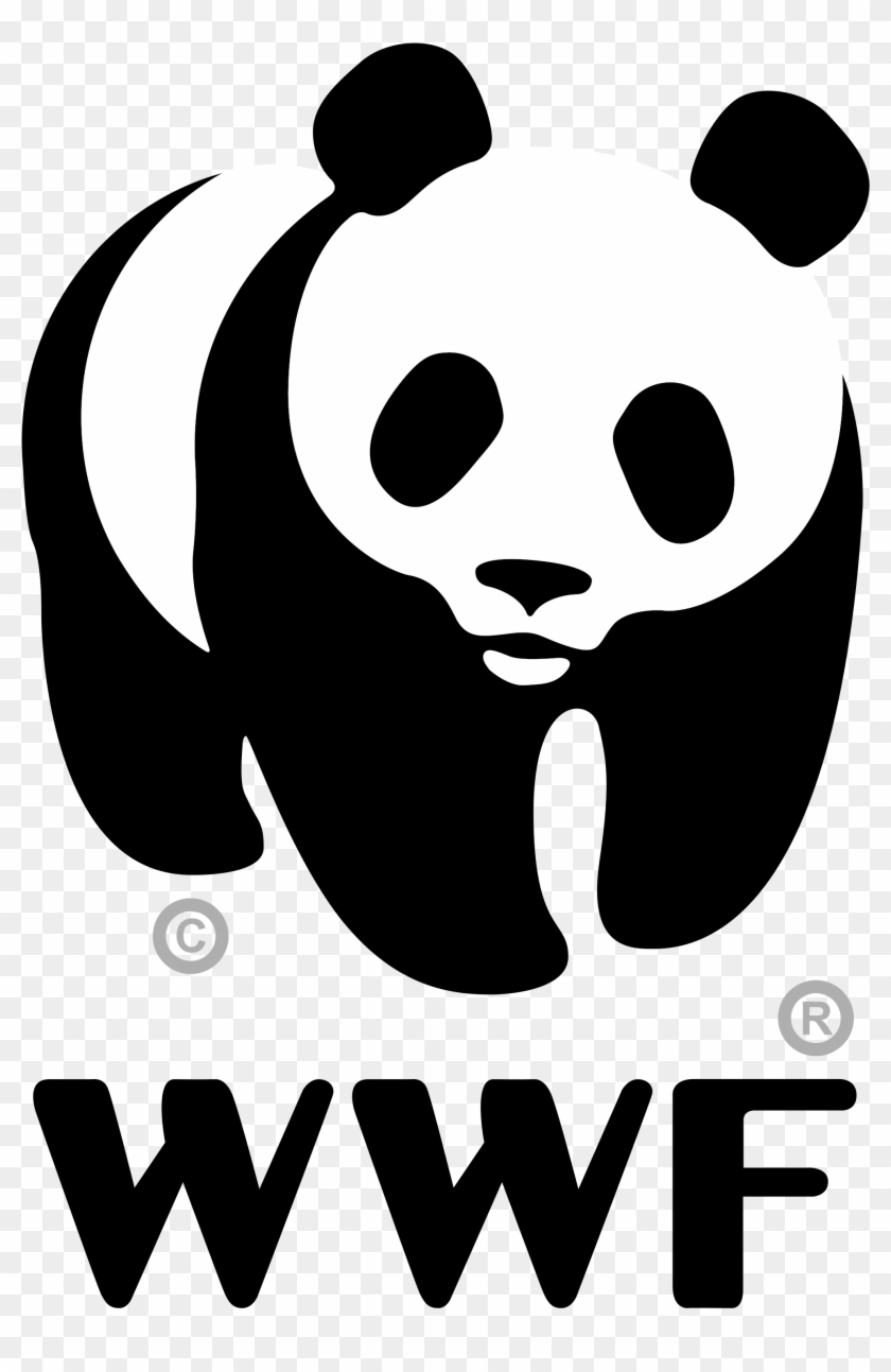 Wwe Clipart Svg World Wide Fund For Nature Logo Hd Png Download 00x2966 Pngfind