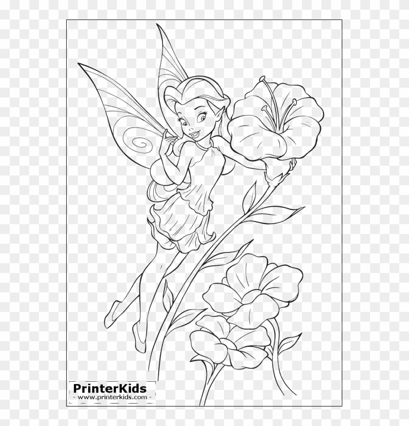 Disney Tinkerbell Coloring Pages Dibujos Para Colorear Tinkerbell Hd Png Download 567x794 501062 Pngfind