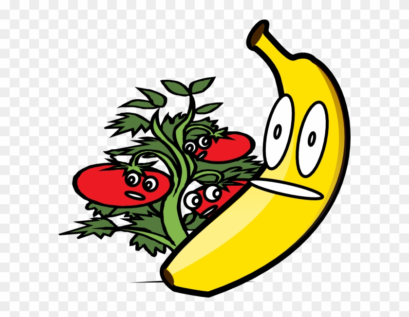 Download Fruit Salad Svg Clip Arts 600 X 572 Px Hd Png Download 600x572 502620 Pngfind