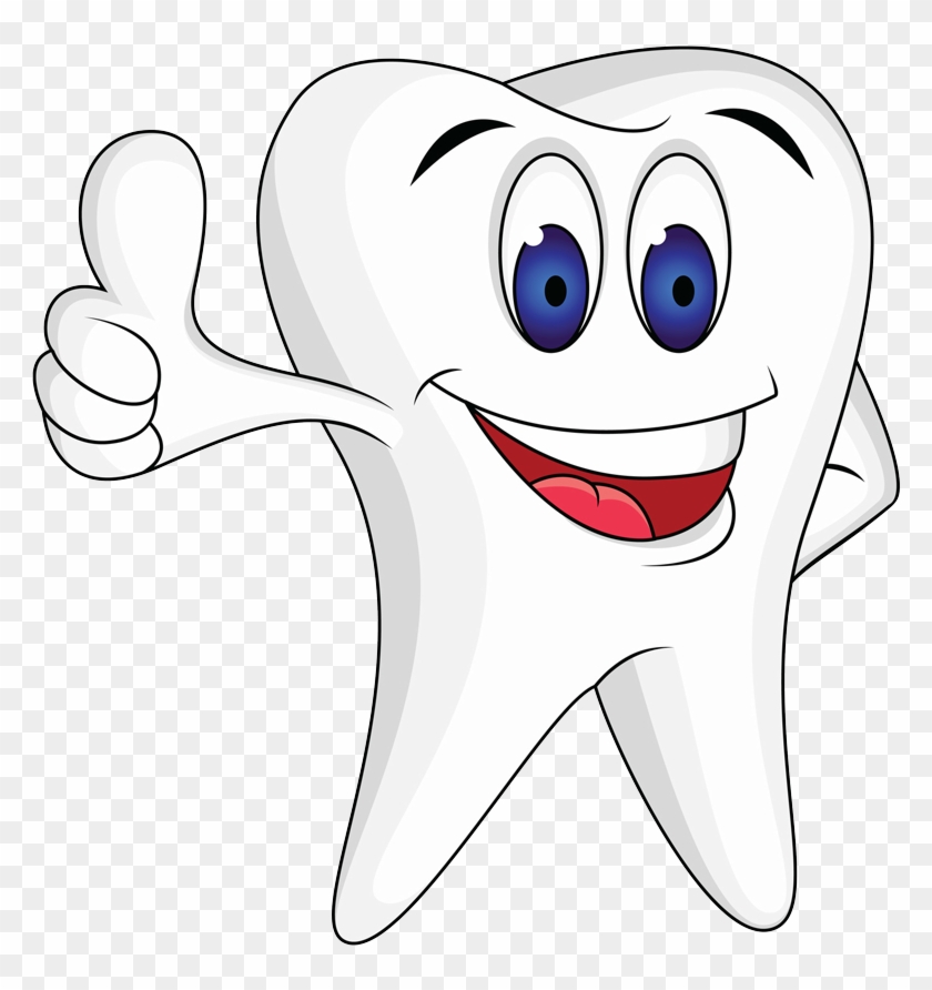 King And Weston Dental - Happy Dental Cartoons, HD Png Download - 800x822(#503175) - PngFind King And Weston Dental - Happy Dental Cartoons, HD Png Download - 800x822(#503175) - PngFind
