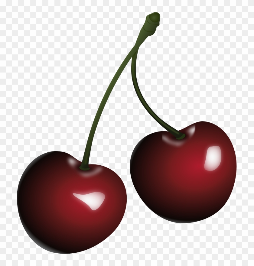 Cartoon Cherries - Black Cherry Clipart, HD Png Download - 727x800(#506602)  - PngFind