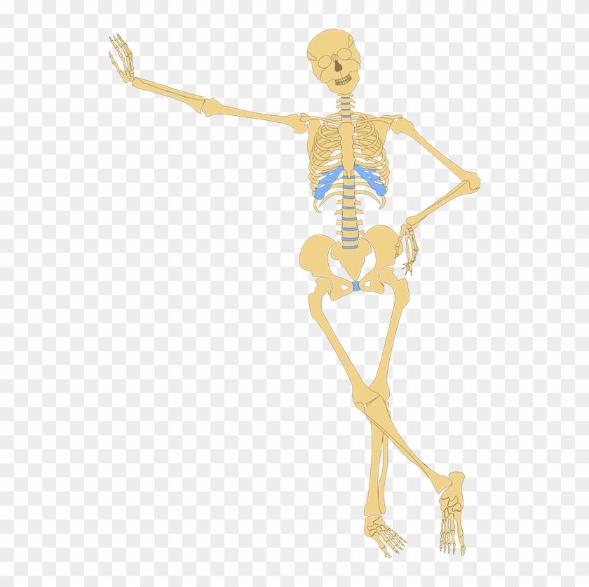 thin skeleton