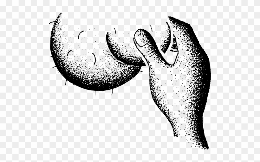 Testicles Png Our Guide To Checking Your Nuts, Transparent Png