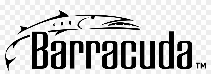 Barracuda Logo Png Transparent Barracuda Vector Png Download 2400x2400 5007934 Pngfind