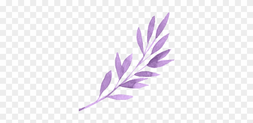 Leaf Purple Plants Plant Tumblr Editpng Pngedit Purple Flowers Aesthetic Png Transparent Png 350x365 5021547 Pngfind