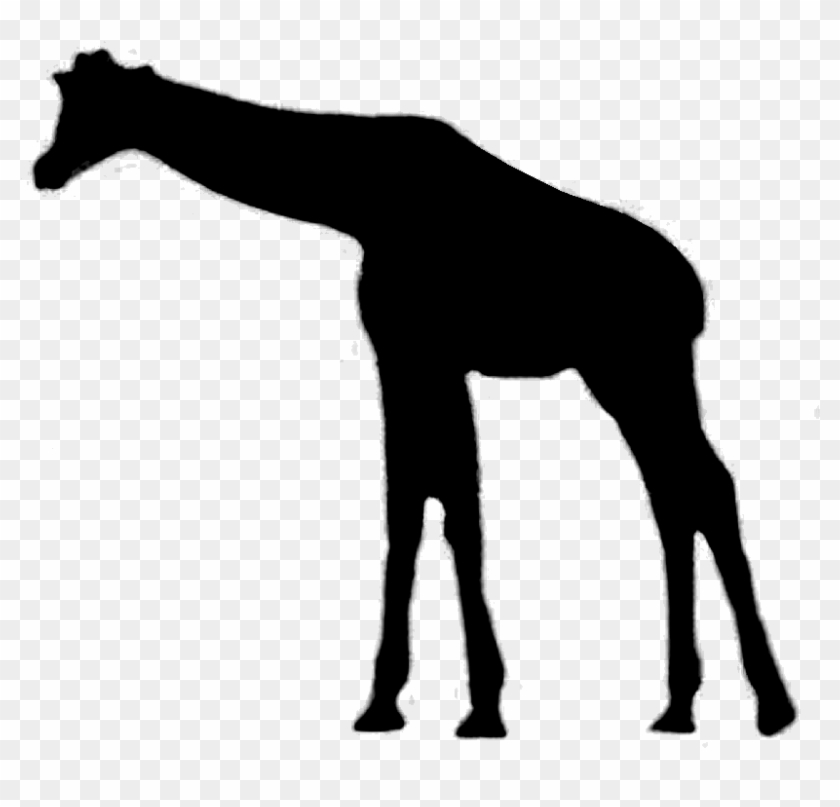 Free Free 308 Silhouette Baby Giraffe Svg SVG PNG EPS DXF File