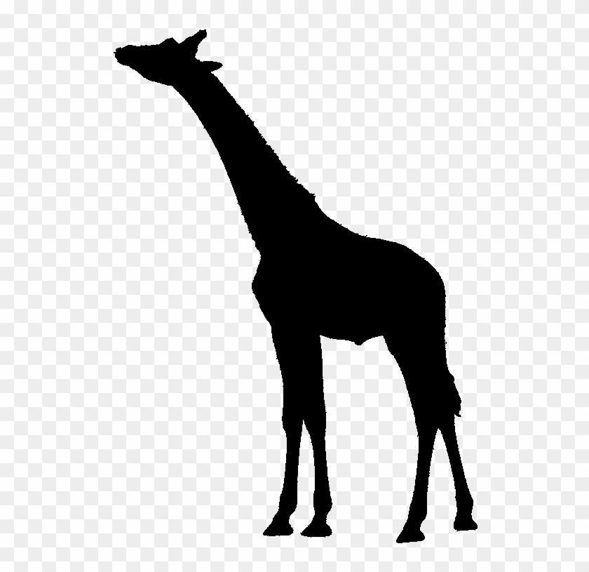 Download 35+ Free Giraffe Svg PNG Free SVG files | Silhouette and Cricut Cutting Files