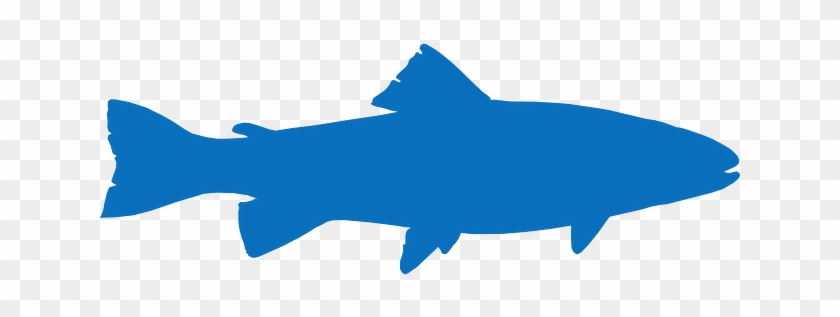 Fish Icon - Trout Silhouette Png, Transparent Png - 640x640(#5040766