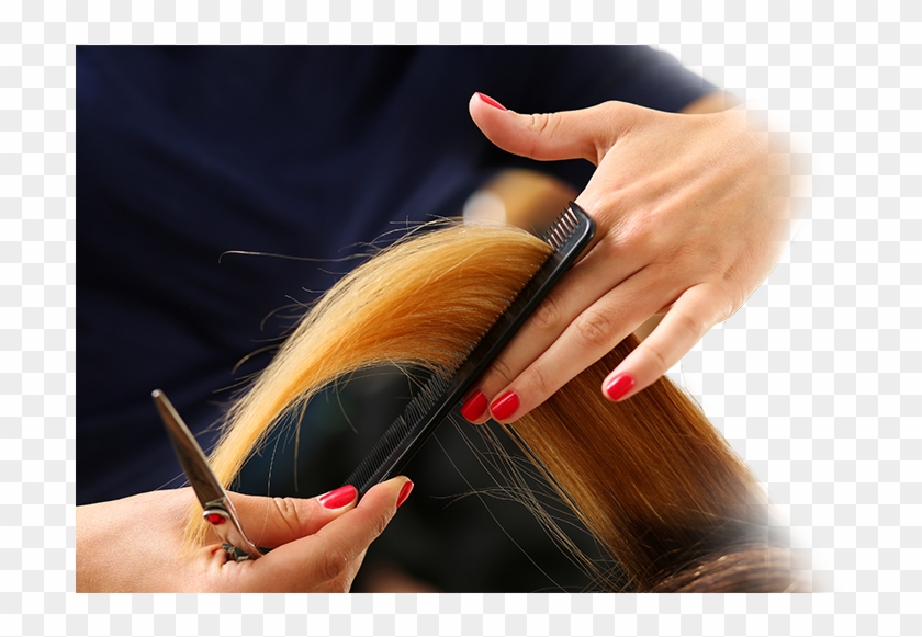 Finding The Perfect Hairstylist Is Like Searching For
