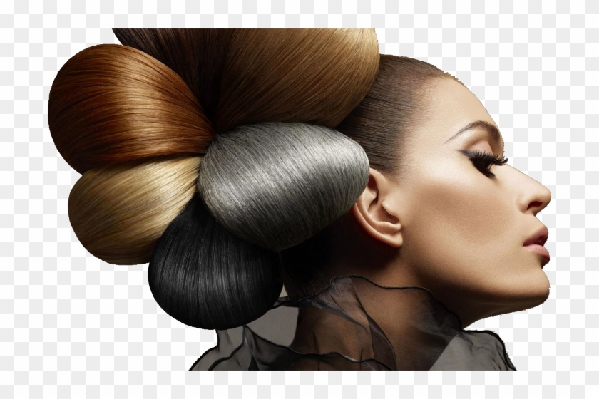 Looking For Haircuts & Hair Services - Salon Hair Style Png, Transparent Png - 706x480(#5056584) - PngFind Looking For Haircuts & Hair Services - Salon Hair Style Png, Transparent Png - 706x480(#5056584) - PngFind