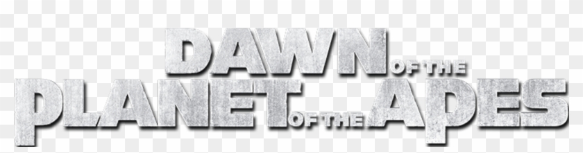 The The
