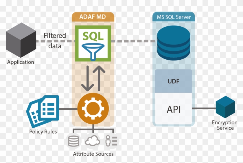 Sql Transparent Data Encryption Transparent Background - Dynamic Data ...