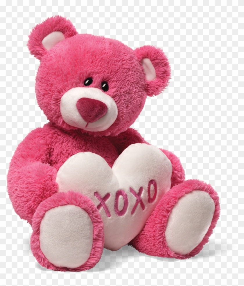 Teddy Bear Png Hd Teddy Png Transparent Png 1200x1200 514424 Pngfind